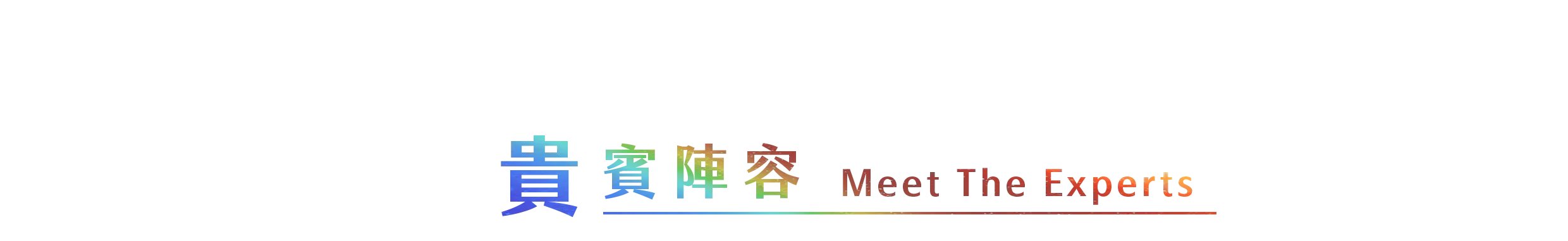貴賓陣容